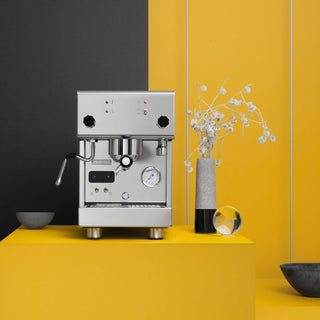 Profitec PRO 300